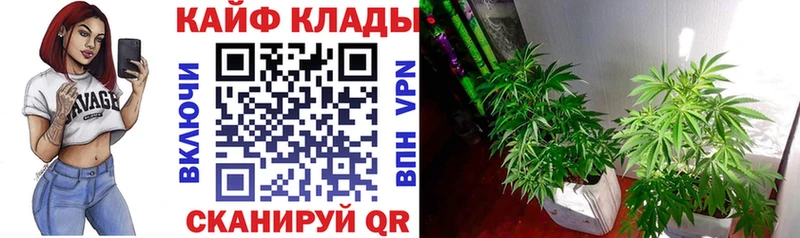 Марихуана Городец