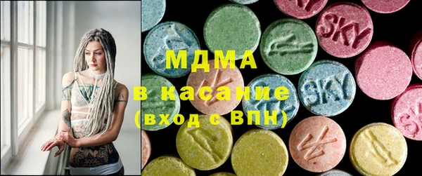 стаф Верея