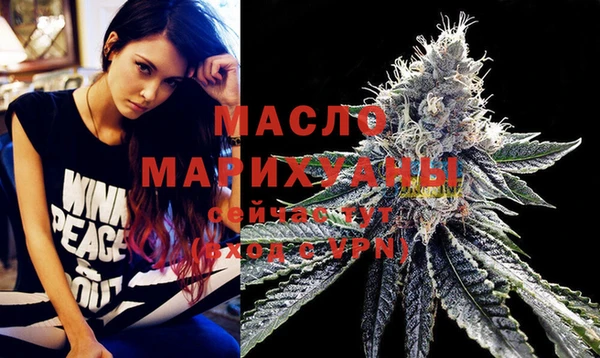 стаф Верея