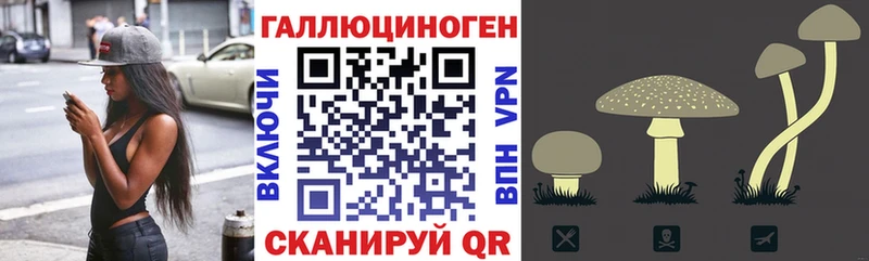 Галлюциногенные грибы GOLDEN TEACHER купить kraken как войти Городец